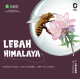 Lebah Himalaya - Seri Konservasi Keanekaragaman Hayati